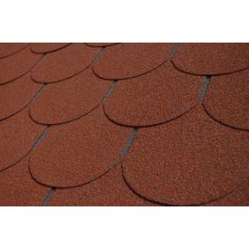 Zsindely Charvát - charBIT | Hódfarkú - vörös