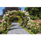 MB Stone Claro Kombi 6cm barna-szürke