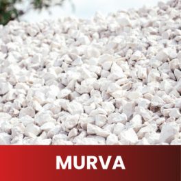 Murva