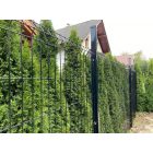 3D táblás kerítés