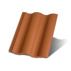 Terrán Synus alapcserép